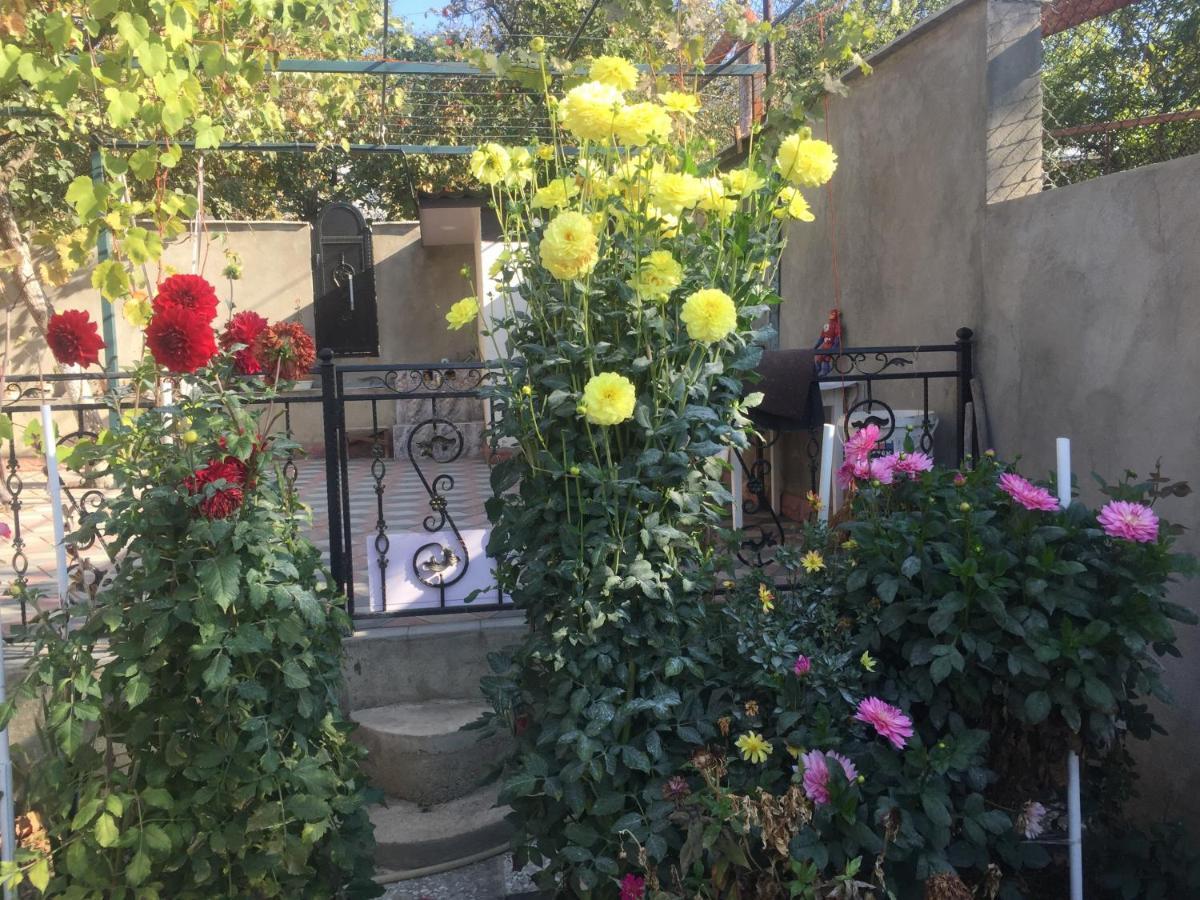 Apartament Sofia Tbilisi Exterior foto